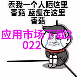 东方财经之窗探索上海财经大学的学术辉煌与未来展望