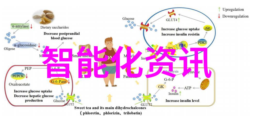 中南财经政法大学研究生院 - 卓越学术探索中南财经政法大学研究生院的学术创新之旅