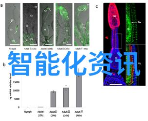 国产芯片制造业迈进新里程碑国内自主知识产权芯片技术大步向前