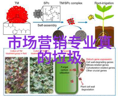 真假千金全集揭秘古代宫廷的隐秘之谜