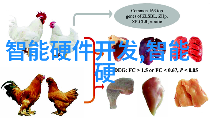 职业性格测试类型深度心理分析