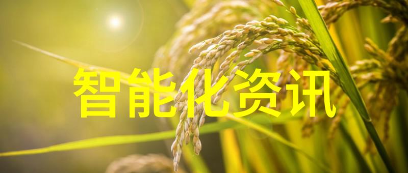 2022年最新款手机旗舰技术与创新的融合