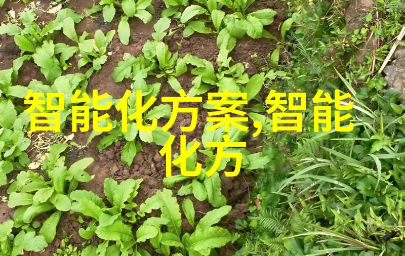 儿童多元智能测评系统-智慧盛宴揭秘儿童多元智能的全面测评