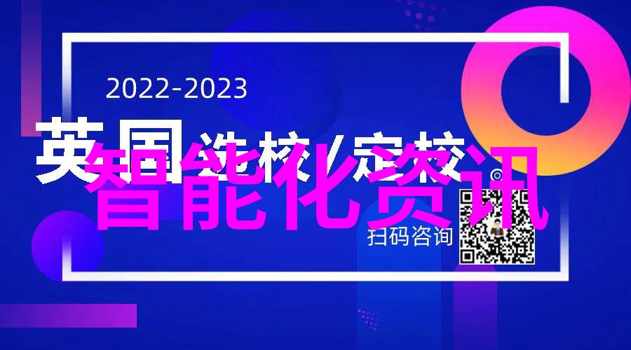 项目实施前期评估与规划策略研究