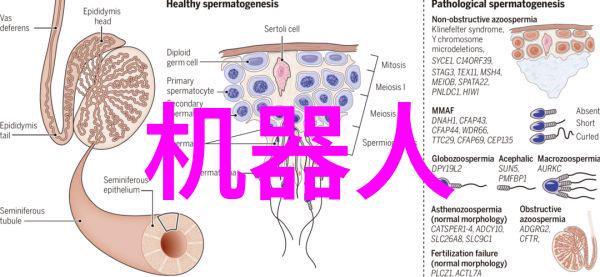 主题我亲眼见证的苹果树新宠甜蜜果实的奇迹变迁