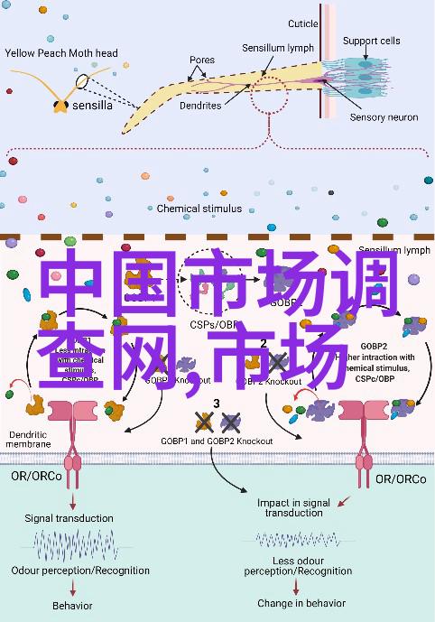 反复提案半导体芯片供应链攻坚打破规则限制解卡脖子之痛