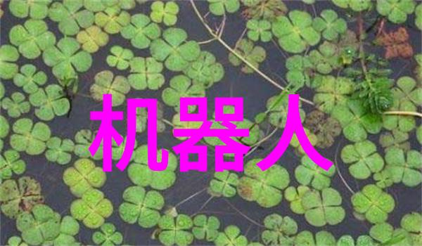 从校园到社会纪录一下服务社会回馈社会活动在学校里的开展情况及成效分析