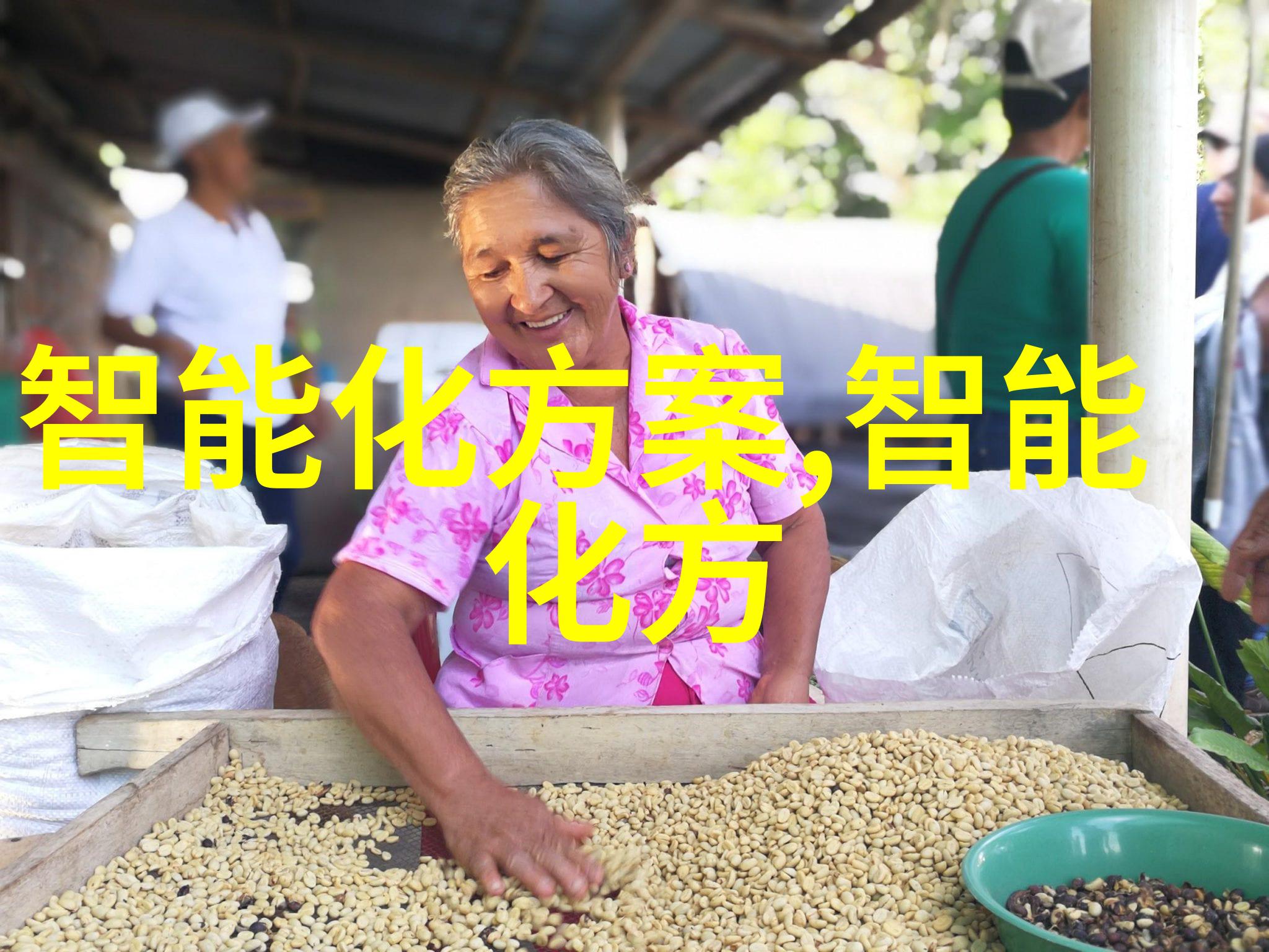 开创芯片加工产业从蓝图到现实