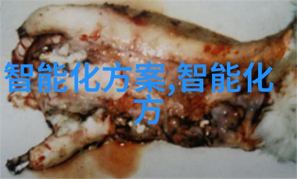 单位测评背后的考量与前方的展望是什么