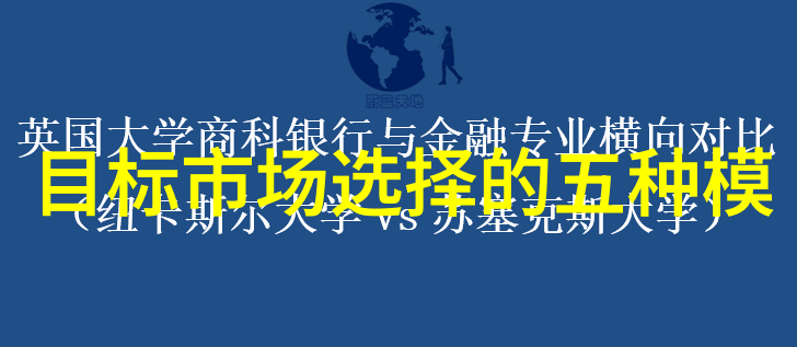 向你申请项目资金申请报告我的致命一击