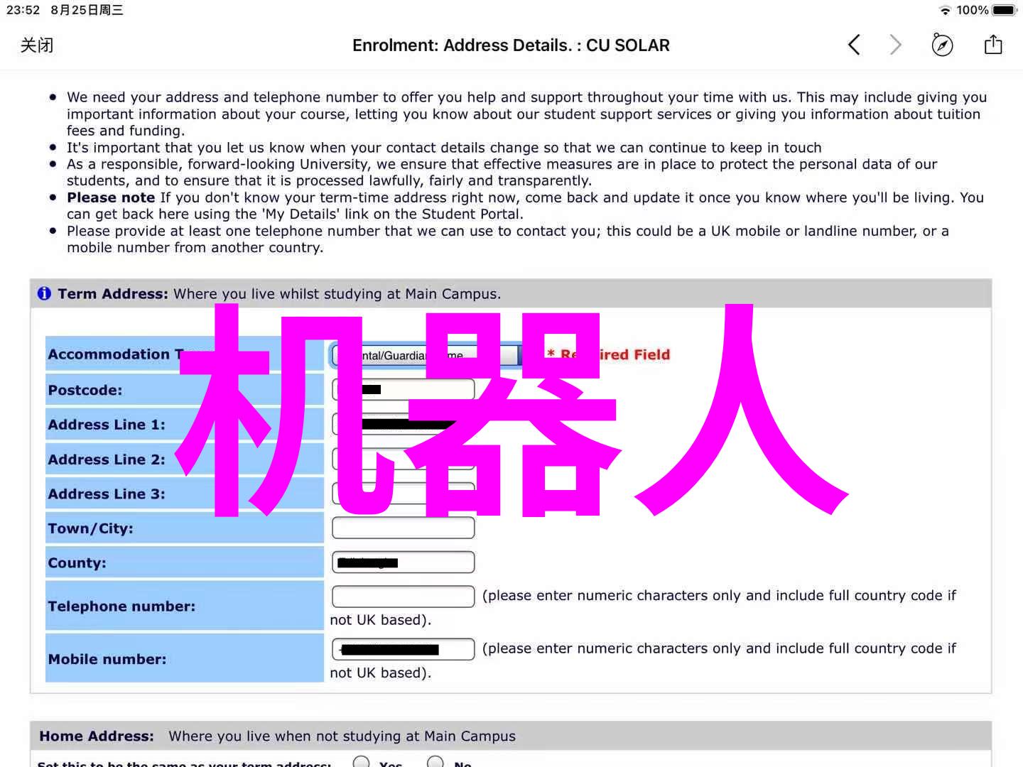 实用指南编写高效的反映情况报告