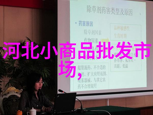 山东财经大学-青铜峪学府探索山东财经大学的金融教育传奇